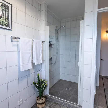 Cozy Ii Luxurioes Moselview Terrasse Garten Netflix 아파트 라이웬