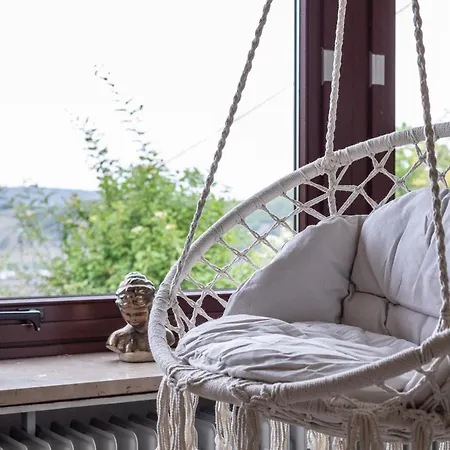 Cozy Ii Luxurioes Moselview Terrasse Garten Netflix