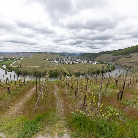 Cozy Ii Luxurioes Moselview Terrasse Garten Netflix * 라이웬