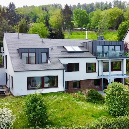Cozy Ii Luxurioes Moselview Terrasse Garten Netflix