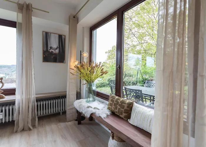 公寓 Cozy Ii Luxurioes Moselview Terrasse Garten Netflix 雷温