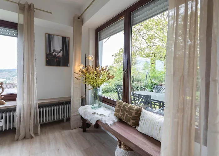 Cozy Ii Luxurioes Moselview Terrasse Garten Netflix 公寓