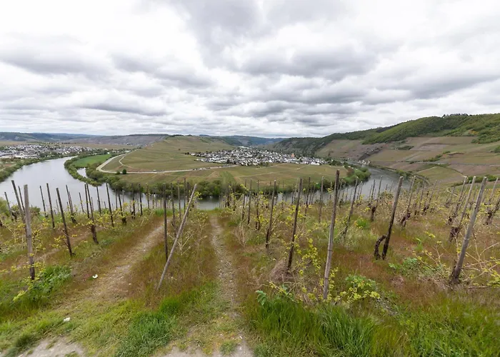 Cozy Ii Luxurioes Moselview Terrasse Garten Netflix * 雷温