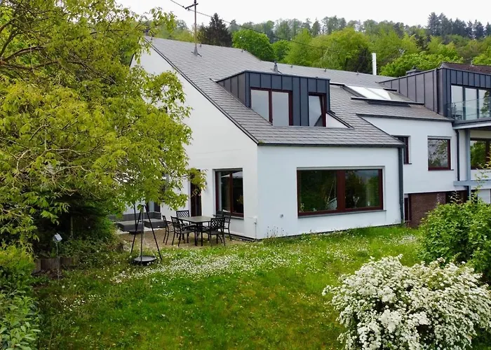 公寓 Cozy Ii Luxurioes Moselview Terrasse Garten Netflix 雷温