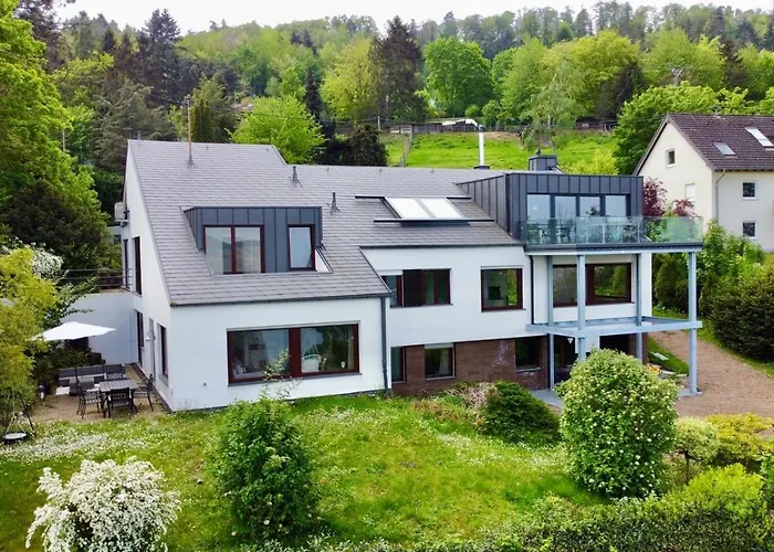 Cozy Ii Luxurioes Moselview Terrasse Garten Netflix